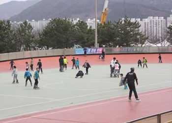 을숙도 로울러 인라인 경기장 전경